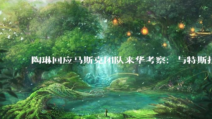 陶琳回应马斯克团队来华考察：与特斯拉无关，或涉SpaceX项目_合作_产业链_摸底